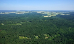 Flug&Bild Wälder von oben